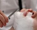Bild: Daniel Karmann/dpa
Sie sind Profis für Bärte: Barber. (Archivbild)