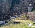 Bild: Armin Weigel/dpa
Erhalten geblieben sind das ehemalige Krematorium und ein Wachturm. (Archivfoto)
