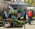 Bild: ge
Pflanzen gehen im Frühjahr immer, am Luitpoldplatz gab es eine große Auswahl für den Garten.
