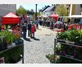 Bild: jr
Besseren Besuch verdient gehabt hätte der Mitterteicher Ostermarkt am Sonntagnachmittag. Bei strahlendem Sonnenschein blieb das Interesse doch überschaubar. Gefragt waren Blumen, Kleidung, Spielsachen und Billigprodukte. Dazu blieb zumeist Zeit für einen kurzen Plausch.