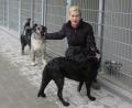 Bild: Hirsch
Gabi Hahn, Vorsitzende des Tierschutzvereins, kümmert sich an Silvester persönlich um die Vierbeiner im Tierheim. Ihre Mitarbeiter legen zum Jahreswechsel eine Nachtschicht ein.