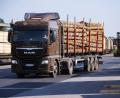 Bild: ZIEGLER GROUP
Nun ist auch die Logistik-Sparte der Ziegler Group betroffen.