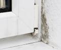 Symbolbild: Andrea Warnecke/dpa
Feuchtigkeit in der Wohnung kann zur Schimmelbildung führen. Manchmal liegt die Ursache dafür an einem Fenstertausch.