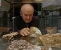 Bild: tr
Ferdinand Wagner beim Bestücken einer Vitrine.