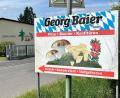 Bild: Gabi Schönberger
Pilze und Beeren gibt es hier weiterhin – auch wenn die Georg Baier GmbH aus Pressath Insolvenz angemeldet hat.