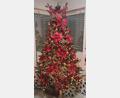 Bild: Thomas Bendl-Meinhardt 
Einen Christbaum in schönster Blüte präsentiert Thomas Bendl-Meinhardt aus Altenstadt/WN – ein echter Fan der Weihnachtszeit, der auch Bräuche pflegt: „An Heiligabend wird die Weihnachtsgurke im Baum versteckt, und derjenige der sie findet darf das nächste Geschenk öffnen.“