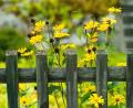 Bild: Maurizio Gambarini
In Etsdorf ist ein Gartenzaun umgefahren worden.