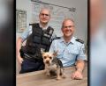 Bild: Foto Bundespolizei
Polizisten der Bundespolizei kümmern sich um Yorkshire Terrier Rocky, als der von seinem Halter ausgebüchst ist.