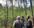 Bild: ihl
Esskastanien gedeihen im Neukirchener Stiftungswald. Betreuer Michael Graf, Revierförster Reinhold Weigert und Forstabteilungsleiterin Regina Härtl setzen im Zukunftswald auf Baumarten, die mit Hitze und Trockenheit zurecht kommen.