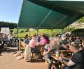 Bild: bey
Beim Open-Air der Gruppe "Saitenwind" in Gehenhammer finden Musik und Brotzeit gut zusammen.
