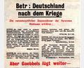 Bild: wsl
So sieht das Flugblatt aus, das in Neukirchen bei Sulzbach-Rosenberg gefunden wurde.
