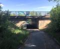 Bild: wro
Der Fußgängertunnel im Süden der Marktgemeinde Wiesau verbindet die Sommerstraße mit dem Dammweg. Das Bauwerk (hier der Blick vom Norden) gehört zum Betreuungsgebiet des Staatlichen Bauamtes Amberg-Sulzbach.