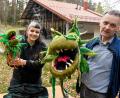 Bild: Petra Hartl
Die Freilichtbühne am Buchberg probt "Der kleine Horrorladen" auf dem Buchberg. Die beiden kleinen "Audreys II", aus Filz, hat Franzi Bauer (links) schon fertig. Markus Nagler (rechts) tüftelt derweil daheim noch daran, der XXL-Version aus Holz mit Verkleidung fressen und gehen beizubringen: