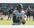 Bild: Michael Sandner
Quarterback Matthew O´Meara erläuft in dieser Szene selbst einen Touchdown. Die Amberg Mad Bulldogs gewannen am Sonntag gegen die München Rangers.