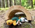 Bild: Gabi Schönberger
Die Schildkrötenfamilie macht es sich unter der Überdachung gemütlich.