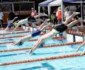 Archivbild: ref
Am kommenden Wochenende findet im Amberger Hockermühlbad wieder der Kurfürstenpokal im Schwimmen statt.