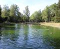 Archivbild: soj
An heißen Tagen suchen viele Besucher Abkühlung im Ebnather Freibad.