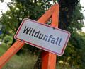 Symbolbild: Susann Prautsch/dpa
Ein Wildunfall auf der Ortsverbindungsstraße zwischen Neukirchen und Schönlind wurde erst zwei Stunden nach der Kollision mit einem Reh bei der Polizei gemeldet.