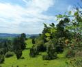 Bild: Andreas Gruber/Naturpark Hirschwald
Der Naturpark Hirschwald zieht sich auch bis Hochholz bei Kastl.