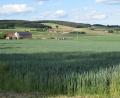 Bild: bnr
Südöstlich von Dietstätt (Gemarkung Weiding) soll eine "Agri-PV-Anlage" gebaut werden. Die ersten Verfahrensschritte wurden eingeleitet.