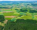 Bild: mür
Auf Teilen dieser freien Fläche im Südwesten von Windischeschenbach (rechts im Bild) würden zwei Unternehmen gerne einen Windpark bauen.