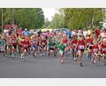 Archivbild: Gebert
Start der Kinder beim Plößberger Weiherlauf 2024.