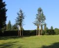 Bild: Josef Söllner/exb
Am Friedhof in Ebnath wurden Bäume neu gepflanzt. Hier sind ab sofort Baumbestattungen möglich.