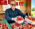 Bild: Gabi Schönberger
Adam Barczok ist auf dem Feld in Fürstenhof bei Bärnau fürs Wiegen der Erdbeeren und die Kasse zuständig.