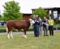 Bild: Steiner/RZO/exb
Der teuerste jemals ersteigerte Stier hat einen neuen Besitzer: "Melodie" mit seinen Züchtern (von links) Florian Götz und Andreas Böhm sowie Julia Götz mit Fabian, Stefan Madlener mit Felix Götz sowie Franziska Raps vom Besamungsverein Neustadt, die das Höchstgebot für den Stier abgab.