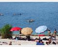 Archivbild: Hirsch
Ein Modellflugzeug "landete" am Samstag ungewollt im Murner See.