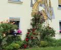 Bild: rgr
Diese Blumenoase ist in Gößenreuth zu finden.