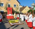 Bild: lg
Pfarrer Alfons Kaufmann trägt am ersten Altar das Evangelium vor. „Mit Jesus im Boot“ lautet der Spruch im kunstvollen Blumenteppich der Kolpingfamilie.