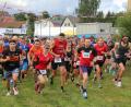 Archivbild: kro
Der Hauptlauf beim 26. Waldnaabtal-Crosslauf, ein 8,2 Kilometer langer Lauf durch das Waldnaabtal, startet um 18.40 Uhr. Unser Bild zeigt den Start vom vergangenen Jahr.