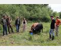 Bild:  Mirko Streich/Stadt Tirschenreuth
Thomas Kurzeck vom Landschaftspflegeverband, Jagdpächter Florian Helgert, Bürgermeister Franz Stahl, Kämmereimitarbeiterin Ramona Thiermann, Rinderhalter Alois Röckl und Stadtförster Stefan Gradl (von links) bei einem Vor-Ort-Termin. Die immer hungrigen Urmel (rechts) und Motschi (links) zeigten sich vom Besuch jedoch gänzlich unbeeindruckt.