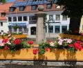 Bild: Fred Lehner
Die schöne Blumenpracht am Luitpoldplatzbrunnen sticht sofort ins Auge.