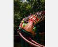 Bild: Freizeitpark Schloss Thurn
Wilde Abenteuer warten im Freizeitpark Schloss Thurn auf dich.