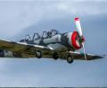 Bild: Lisa Wagemann
Matthias Sieber fliegt die YAK-52, einen liebevoll restaurierten Oldtimer.