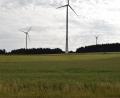 Bild: bnr
Der Windpark Pamsendorf sollte zu einem Energiepark erweitert werden. Die Fläche, auf der jetzt das Getreide steht, müsste dafür mit einer Freiflächen-Photovoltaikanlage überbaut werden. Das lehnt der Stadtrat ab.