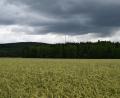 Bild: bnr
Im Waldstück mit der Bezeichnung "Himmelstür" soll der "Windpark Söllitz" errichtet werden. Im Hintergrund sind die Windräder bei Deindorf erkennbar.