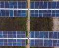 Symbolbild: Philipp Schulze/dpa
Solarmodule einer Agrar-Photovoltaik-Anlage (Aufnahme mit einer Drohne). Die Stadträte lehnten diese Anlagen für Auerbach ab.