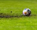 Symbolbild: David Inderlied/dpa
Ein Auto war auf dem Spielfeld des SV Störnstein unterwegs.