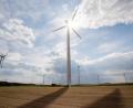 Symbolbild: Christoph Soeder/dpa
Die Grünen wollen neuen Schwung in die Beteiligungsdebatte rund um Windkraft und Photovoltaik bringen.