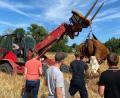 Bild: Freiwillige Feuerwehr Hahnbach
Die Freiwillige Feuerwehr Hahnbach hat einem Landwirt beim Einfangen einer entlaufenen Kuh geholfen.