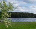 Symbolbild: do
Nordwestlich der Kreisstraße NEW 43 und östlich der Oberaichamühle ist der Solarpark Thurndorf geplant. Mit einem Satzungsbeschluss für den Bebauungsplan gibt der Marktgemeinderat grünes Licht.