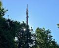 Bild: Gabi Schönberger
Der Mobilfunkmast am Schulhügel versorgt die Innenstadt von Neustadt/WN mit mobilen Daten, ist dafür aber ebenso weit weg, wie die Telekom von einem Erfolg bei der Suche nach einem neuen Standort.