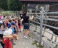 Bild: Simon Schönberger
Der Besuch der Straußenfarm in Kotzenbach ist auch in diesem Jahr ein Highlight im Püchersreuther Ferienprogramm.