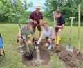 Bild: bl
David Sorgenfrei, Christoph Plank, Andreas Kirchberger und Sandro Augustin (von links) geizen nicht mit Dünger für ihren frisch gepflanzten Apfelbaum, mit dem sie die Baumpflanz-Challenge bestreiten.