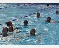 Archivbild: jr
Vom 25. bis 26. Juli findet im Waldsassener Egrensis-Bad wieder das 24-Stunden-Schwimmen statt.