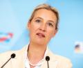Archivbild: Michael Kappeler/dpa
AfD-Chefin Alice Weidel wurde am Montag in Regensburg beim Auftritt von Vicky Leandros erwartet. Am Ende kam sie nicht.