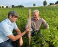 Bild: Völkl
Pflanzenbauberater Sebastian Betz und Landwirt Peter Schlagenhaufer (von links) zeigen Oberpfalz-Medien die Messstelle auf einem Feld in Nabburg.
